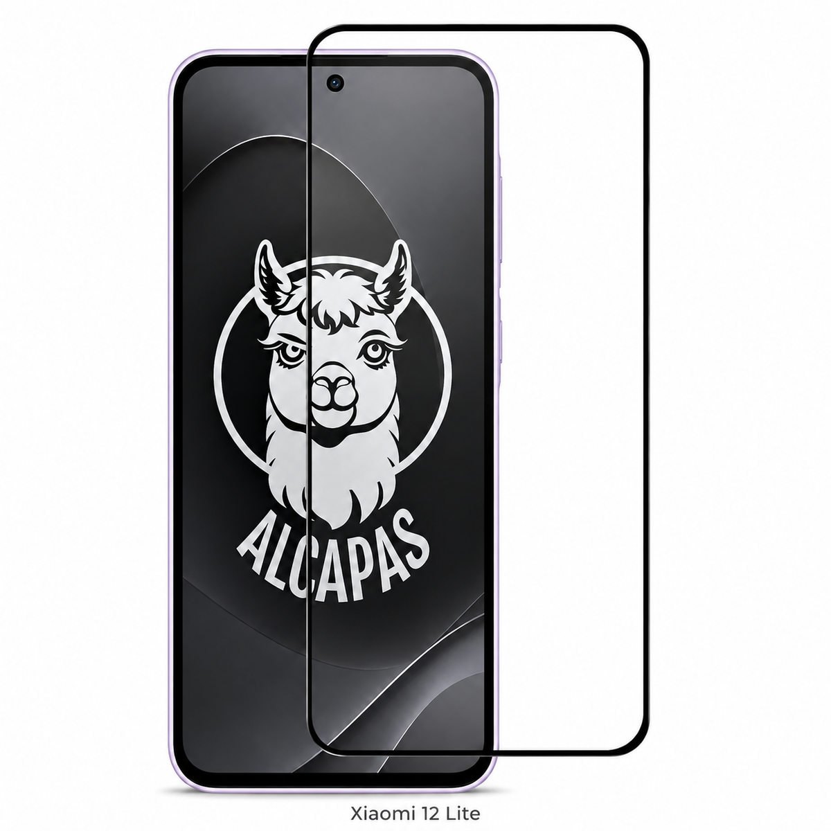 Película de Vidro Xiaomi 12 Lite